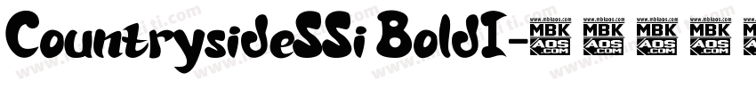 CountrysideSSi BoldI字体转换